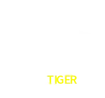 Jogo ao vivo